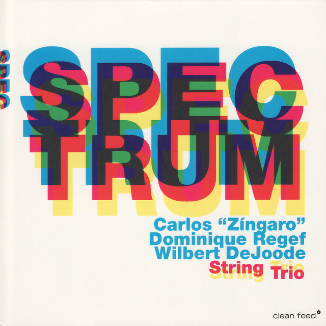 Carlos Zíngaro Photo
