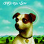 Daisy cover