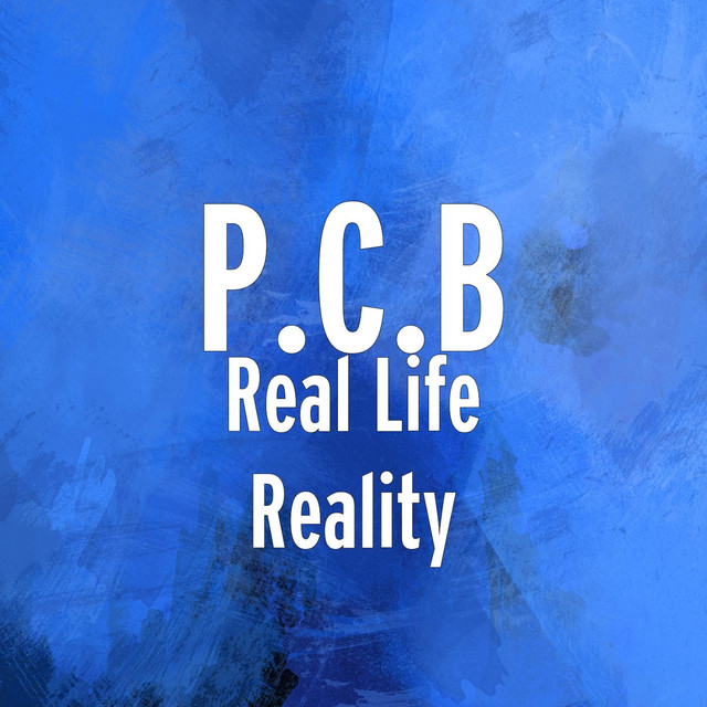 P.C.B. Photo