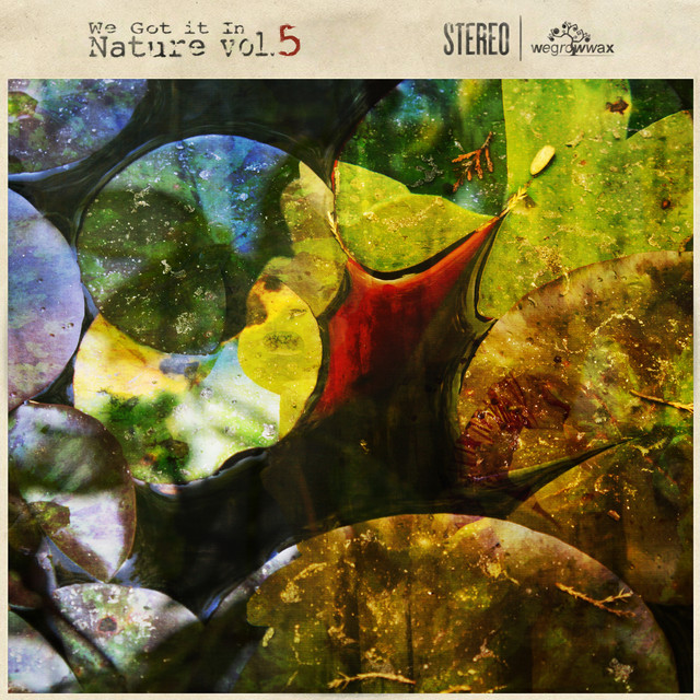 We Got It In Nature, Vol. 5 Albumcover