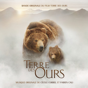 Terre des ours cover