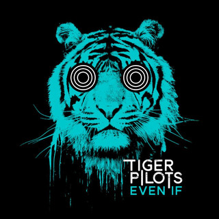 Tiger Pilots Photo