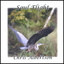 Soul Flight Albumcover