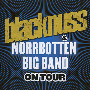 Norrbotten Big Band Photo