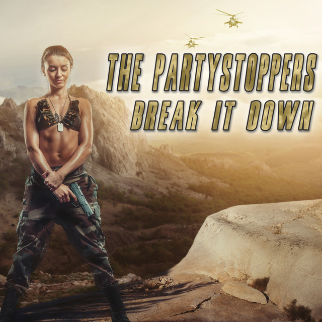 The Partystoppers Photo