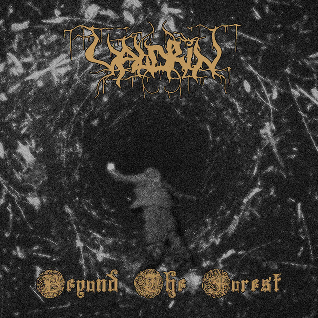 Beyond The Forest cover