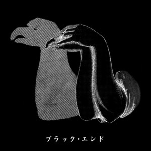 Black End cover