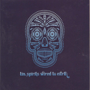 Wired to Earth cover