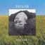 Downes, David: Pavilion cover