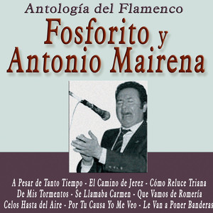 Antología del Flamenco: Fosforito y Antonio Mairena album