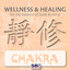 Wellness & Healing ..... Chakra Albumcover