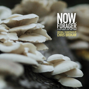 Now, Forager (Original Motion Picture Soundtrack) cover