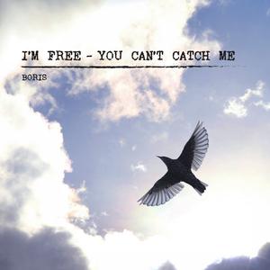 I'm Free - You Can't Catch Me album