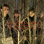 Off the Beaten Track cover