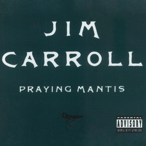 Praying Mantis cover