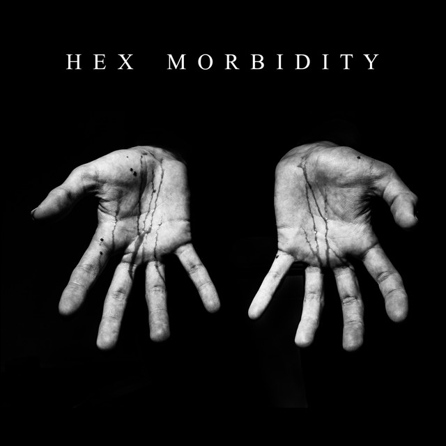 Morbidity photo