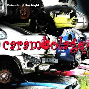 Friends of the Night