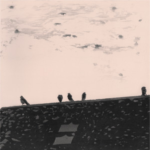 Arrhythmia cover