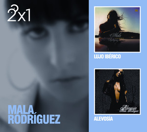 2x1 Mala Rodriguez album