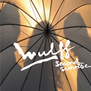 Wulff