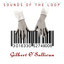Sounds of the Loop (Deluxe Edition) cover