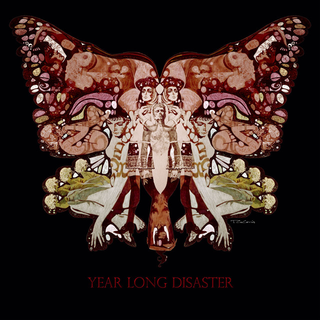 Year Long Disaster cover
