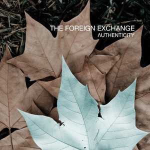 Authenticity cover