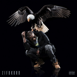 Zifukoro cover