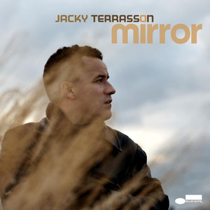 Mirror cover