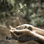 Rain & Relaxation cover