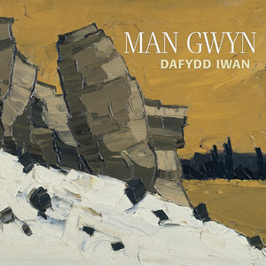 Man Gwyn cover