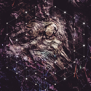 psychonaut