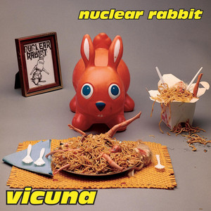 Vicuna cover