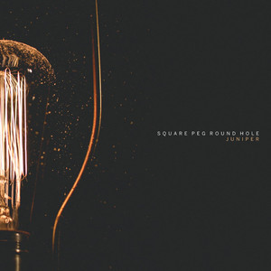 Square Peg Round Hole Photo
