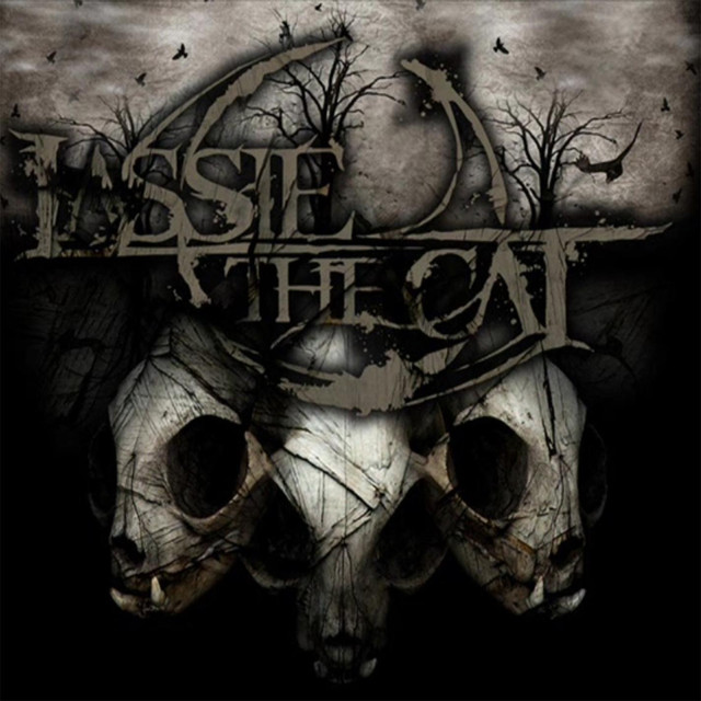 Lassie the Cat Photo