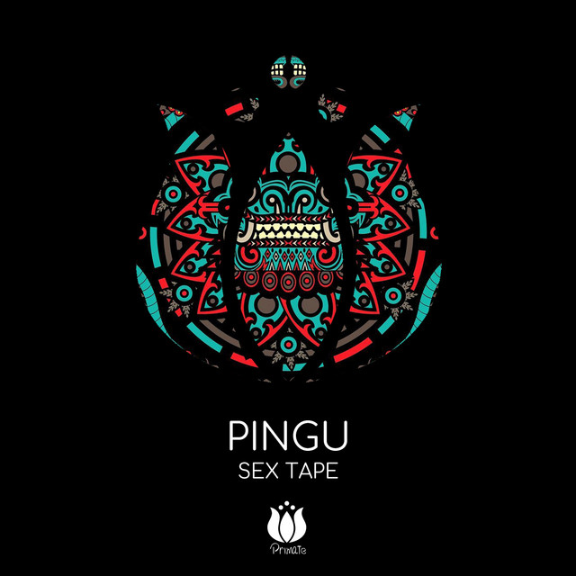 Pingu Photo