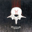 Vertebrae cover