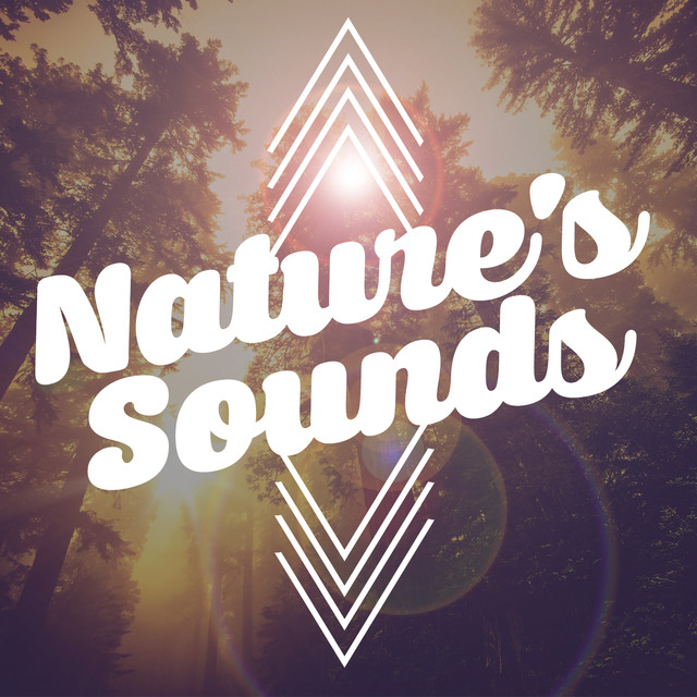 Nature's Sounds Albumcover