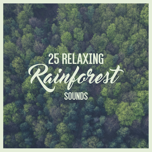 25 Relaxing Rainforest Sounds