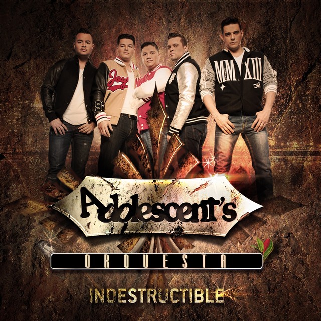 Indestructible cover art