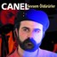 Sevsem Öldürürler Albumcover