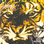 Eye of the Tiger cover