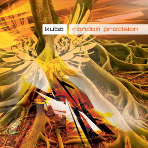 Random Precision cover