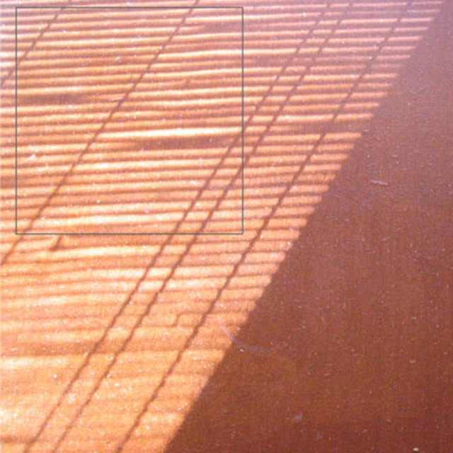 Musik Artist Dream Koala