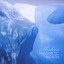 Magnetic North Albumcover