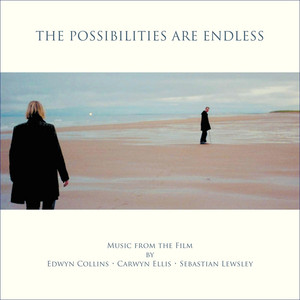 The Possibilities Are Endless cover