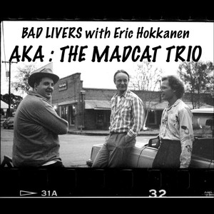 AKA The Mad Cat Trio (feat. Erik Hokkanen) album