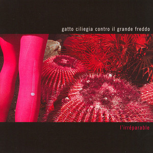 L'Irréparable cover