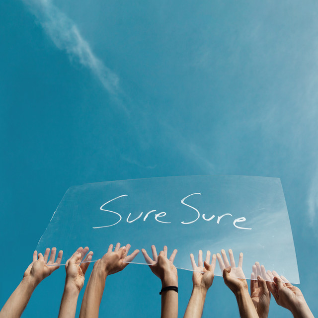 Sure Sure cover