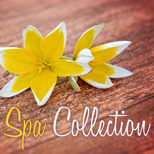 Spa Collection - Top 30 Spa Background Songs Albumcover